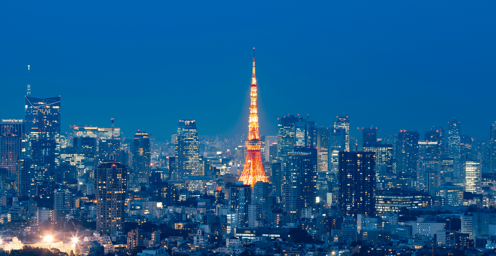 制御の先に、信頼がある。